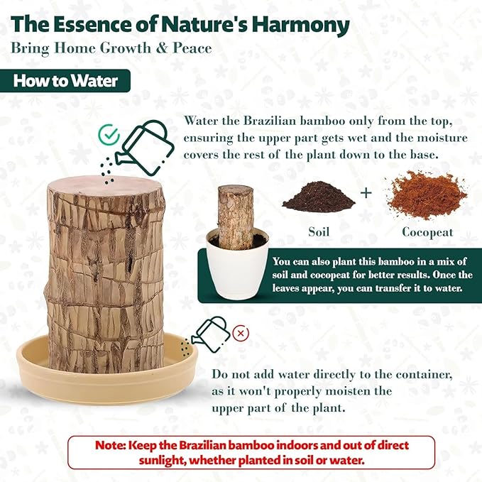 Brazilian Lucky Wood Buy 1 Get 1 Free